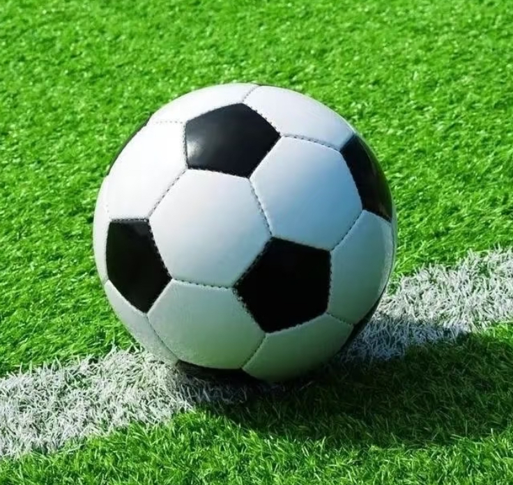 2026世界杯⚽️